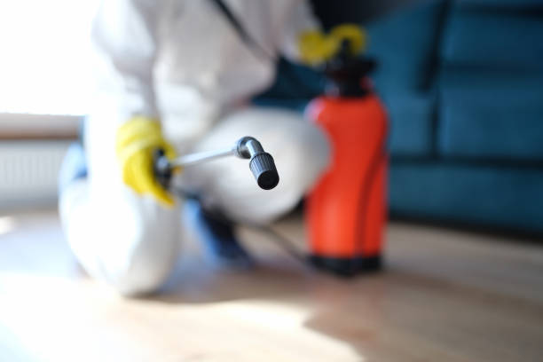 Best Biohazard Mold Removal  in Bountiful, UT