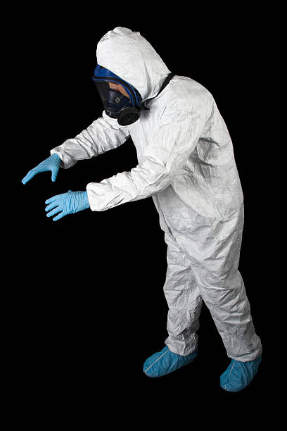 Best Attic Mold Removal  in Bountiful, UT