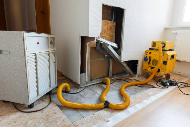 Best Environmental Consulting for Mold Prevention  in Bountiful, UT