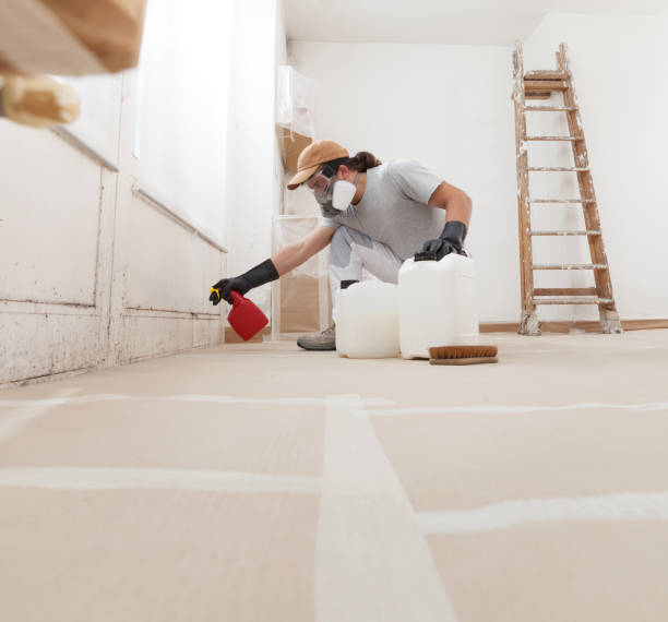 Mold Documentation for Insurance Claims in Bountiful, UT